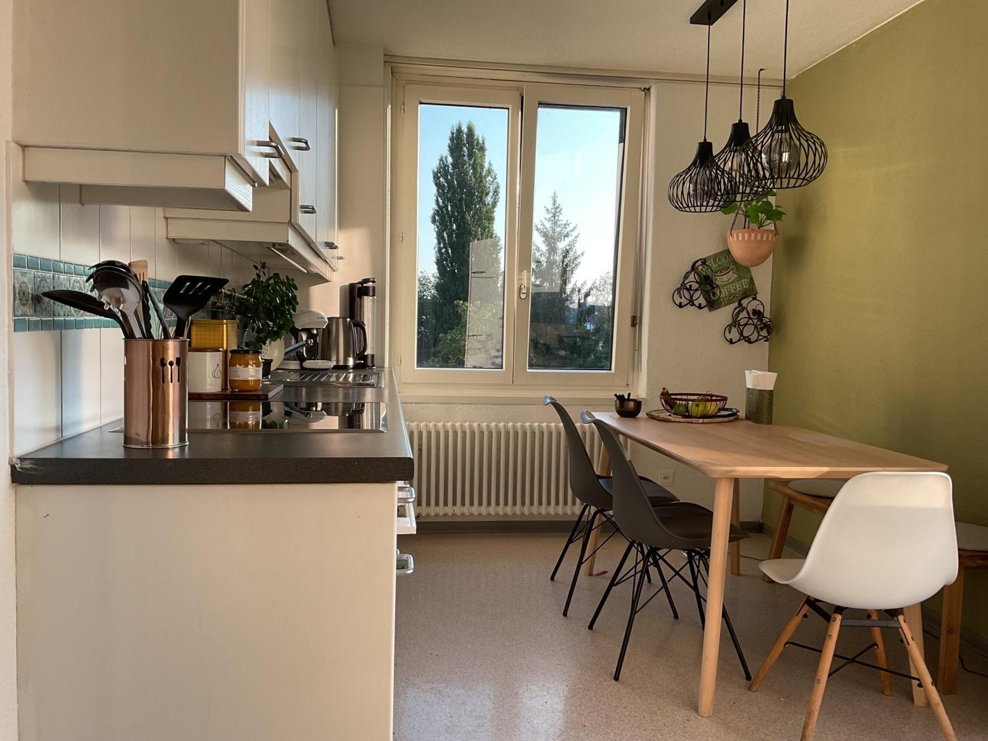Apartment Please Dont Reserv, Not Longer Available Lucerne